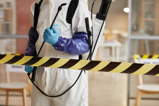 Professional Hoarding Cleanup technician working in Needville, TX